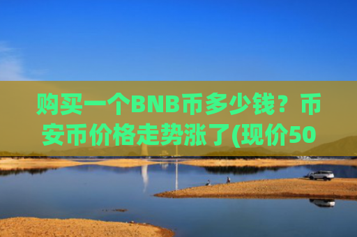 购买一个BNB币多少钱？币安币价格走势涨了(现价5044.43元)
