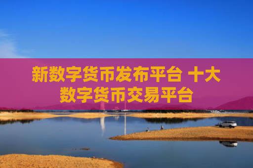 新数字货币发布平台 十大数字货币交易平台