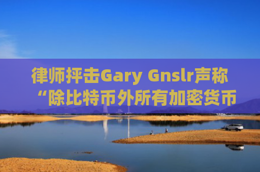 律师抨击Gary Gnslr声称“除比特币外所有加密货币都是证券”的说法