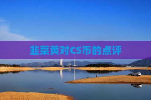 韭菜黄对CS币的点评