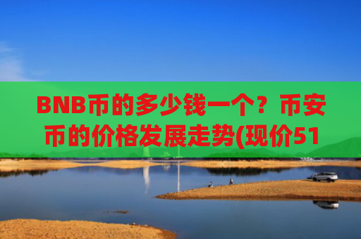 BNB币的多少钱一个？币安币的价格发展走势(现价5197.5元)