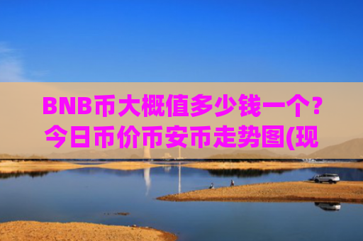 BNB币大概值多少钱一个？今日币价币安币走势图(现价5198.81元)