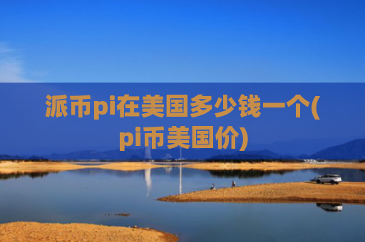 派币pi在美国多少钱一个(pi币美国价)
