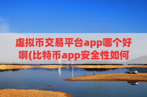 虚拟币交易平台app哪个好啊(比特币app安全性如何保障)