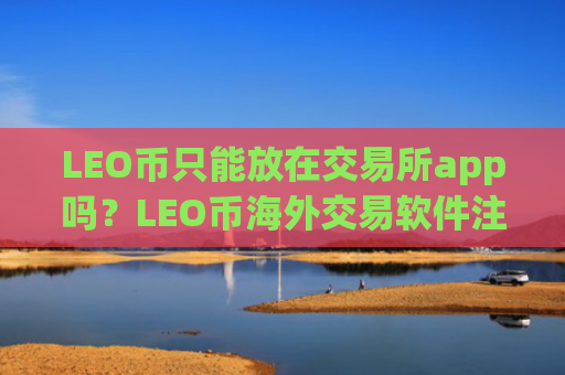 LEO币只能放在交易所app吗？LEO币海外交易软件注册