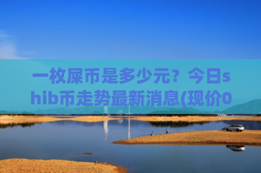 一枚屎币是多少元?今日shib币走势最新消息(现价0.00019707元)