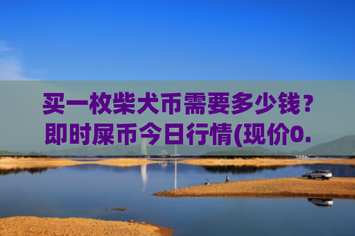买一枚柴犬币需要多少钱？即时屎币今日行情(现价0.00020337元)