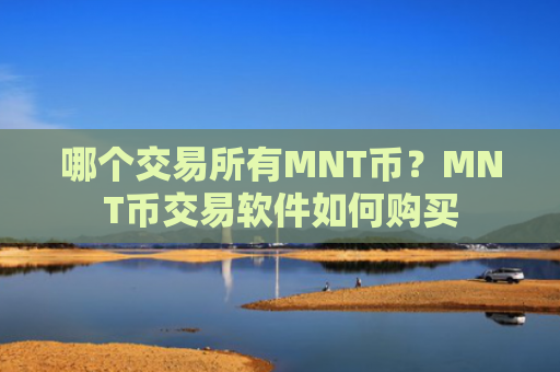 哪个交易所有MNT币？MNT币交易软件如何购买