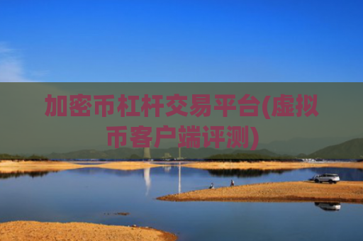 加密币杠杆交易平台(虚拟币客户端评测)