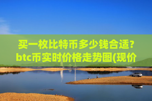 买一枚比特币多少钱合适？btc币实时价格走势图(现价729767.66元)