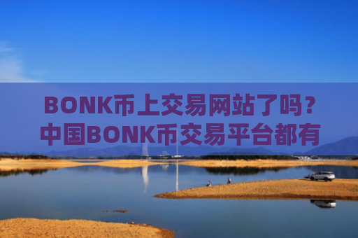 BONK币上交易网站了吗？中国BONK币交易平台都有哪些