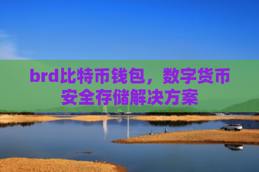 brd比特币钱包，数字货币安全存储解决方案