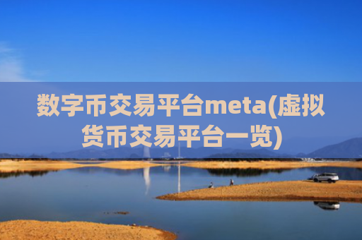 数字币交易平台meta(虚拟货币交易平台一览)