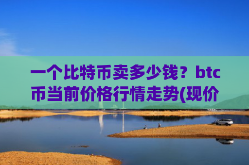一个比特币卖多少钱？btc币当前价格行情走势(现价726996.39元)
