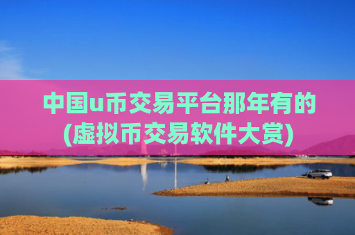 中国u币交易平台那年有的(虚拟币交易软件大赏)