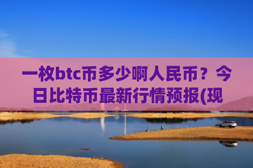 一枚btc币多少啊人民币？今日比特币最新行情预报(现价728802.96元)