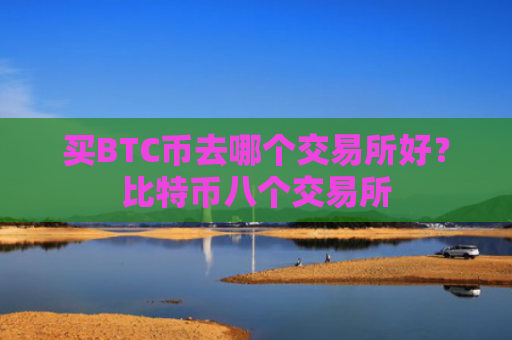 买BTC币去哪个交易所好？比特币八个交易所