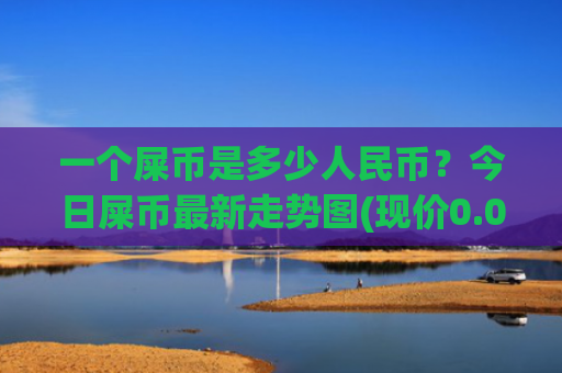 一个屎币是多少人民币？今日屎币最新走势图(现价0.00020574元)