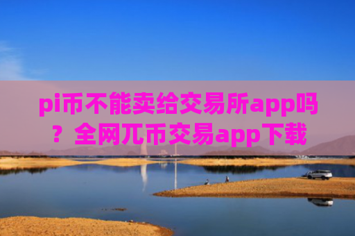 pi币不能卖给交易所app吗?全网兀币交易app下载