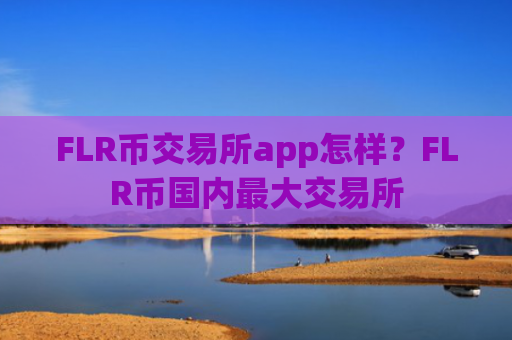 FLR币交易所app怎样？FLR币国内最大交易所