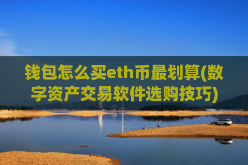 钱包怎么买eth币最划算(数字资产交易软件选购技巧)
