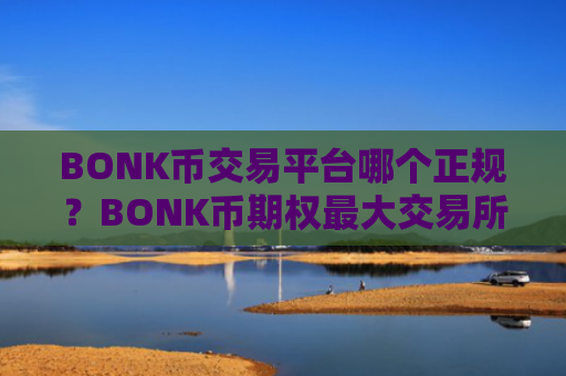 BONK币交易平台哪个正规？BONK币期权最大交易所