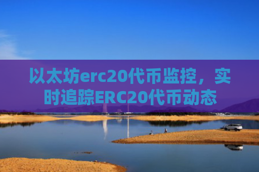 以太坊erc20代币监控，实时追踪ERC20代币动态