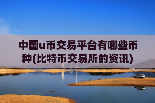 中国u币交易平台有哪些币种(比特币交易所的资讯)