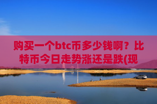 购买一个btc币多少钱啊？比特币今日走势涨还是跌(现价726572.31元)