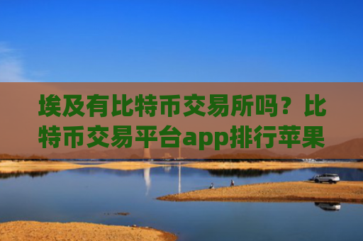 埃及有比特币交易所吗？比特币交易平台app排行苹果