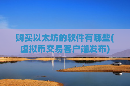 购买以太坊的软件有哪些(虚拟币交易客户端发布)