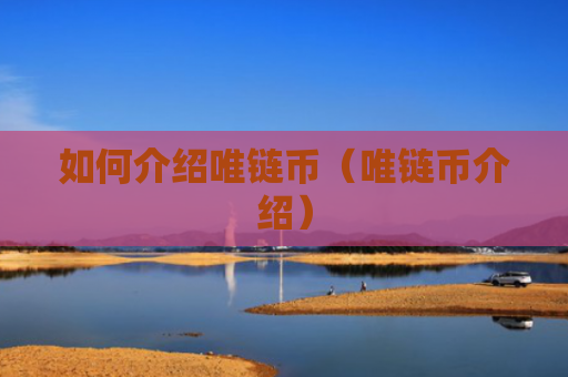 如何介绍唯链币（唯链币介绍）