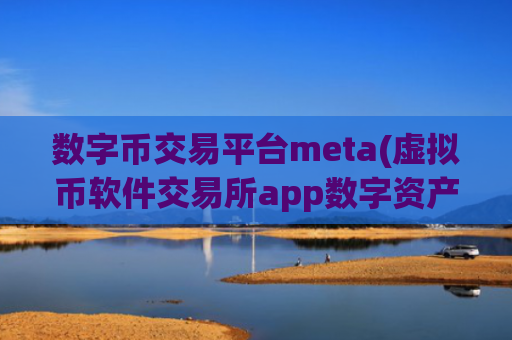 数字币交易平台meta(虚拟币软件交易所app数字资产)