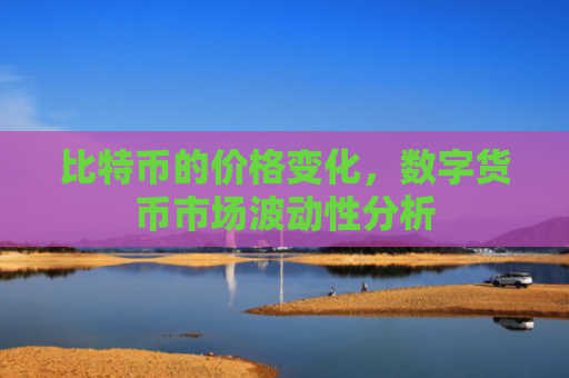 比特币的价格变化，数字货币市场波动性分析