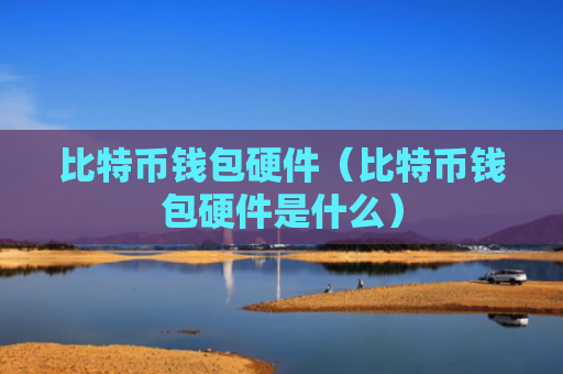 比特币钱包硬件（比特币钱包硬件是什么）