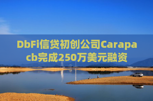 DbFi信贷初创公司Carapacb完成250万美元融资
