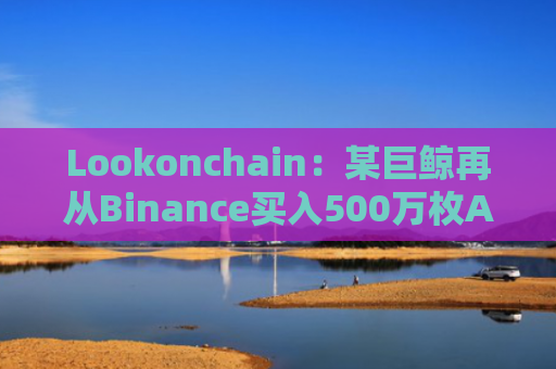 Lookonchain：某巨鲸再从Binance买入500万枚ARB，目前共持有994万枚