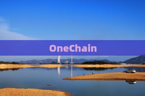 OneChain