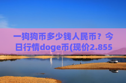 一狗狗币多少钱人民币?今日行情doge币(现价2.8554元)