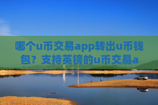 哪个u币交易app转出u币钱包？支持英镑的u币交易app下载