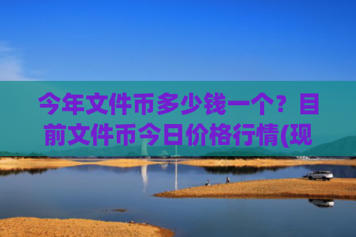 今年文件币多少钱一个？目前文件币今日价格行情(现价45.4074元)