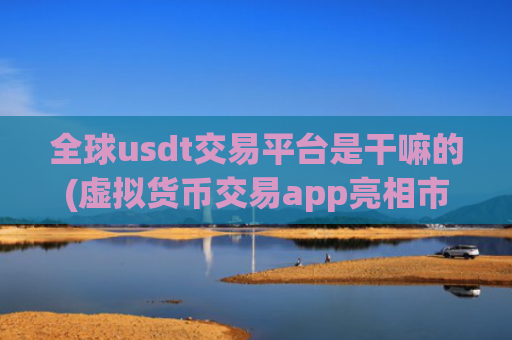 全球usdt交易平台是干嘛的(虚拟货币交易app亮相市场)