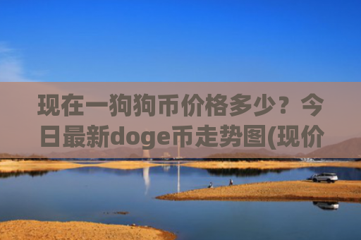 现在一狗狗币价格多少?今日最新doge币走势图(现价2.8241元)