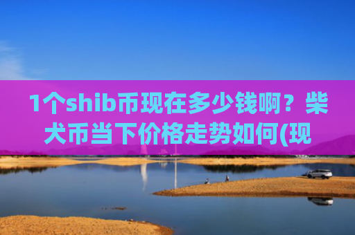 1个shib币现在多少钱啊？柴犬币当下价格走势如何(现价0.00019761元)