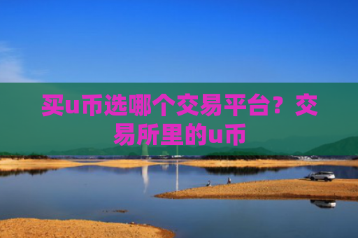 买u币选哪个交易平台？交易所里的u币