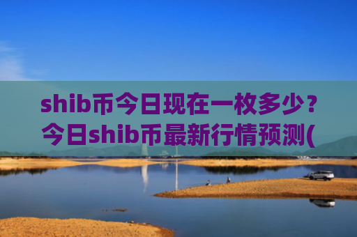 shib币今日现在一枚多少?今日shib币最新行情预测(现价0.00019732元)