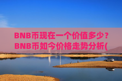 BNB币现在一个价值多少?BNB币如今价格走势分析(现价5295.91元)