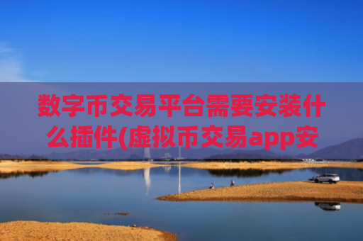 数字币交易平台需要安装什么插件(虚拟币交易app安全性检查)