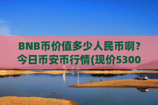 BNB币价值多少人民币啊？今日币安币行情(现价5300.93元)