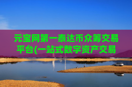 元宝网第一泰达币众筹交易平台(一站式数字资产交易平台)